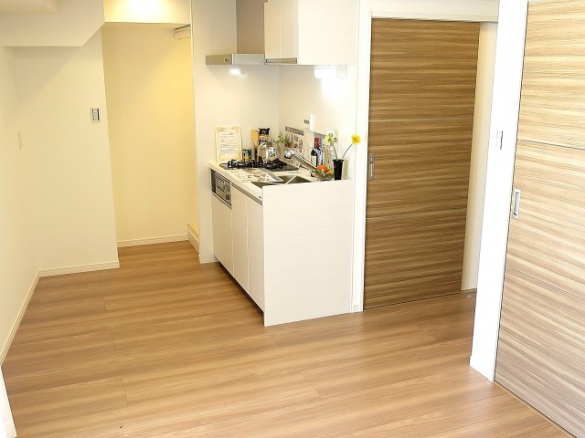 ＤＩＫマンション新橋　ＬＤＫ