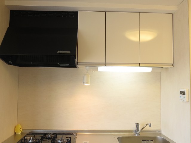 ハヤマビル　システムキッチン