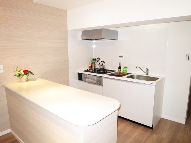 カウンター付のシステムキッチン