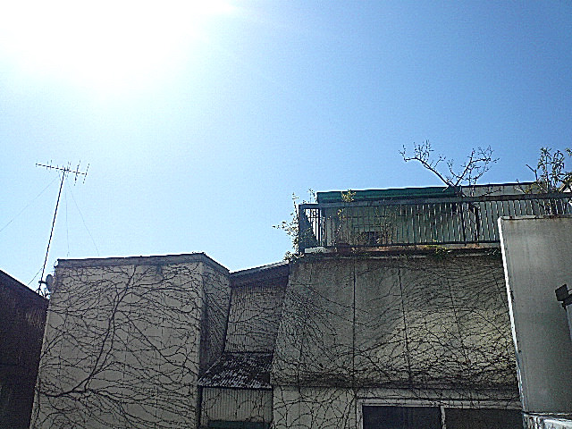 ビラ自由ヶ丘　2階からの眺望