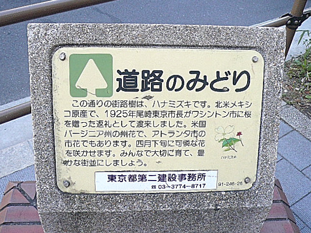 マンションまでの道のり