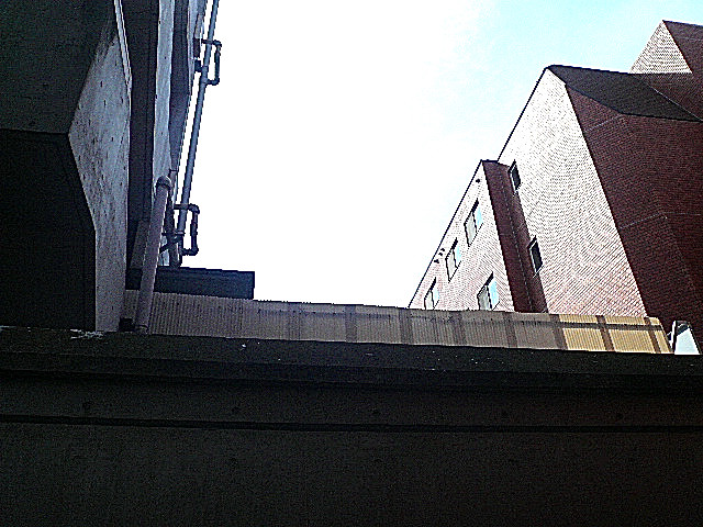 ライオンズマンション広尾第2　3階からの眺望