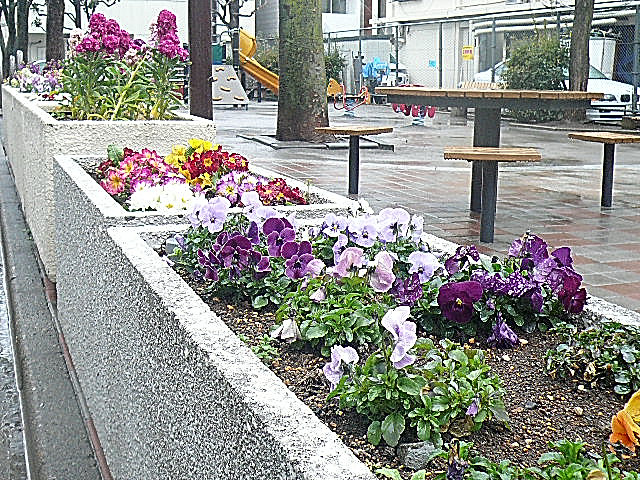 ライオンズマンション白金第2　マンションまでの道のり