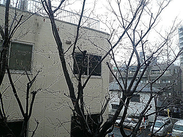 ライオンズマンション白金第2　3階からの眺望