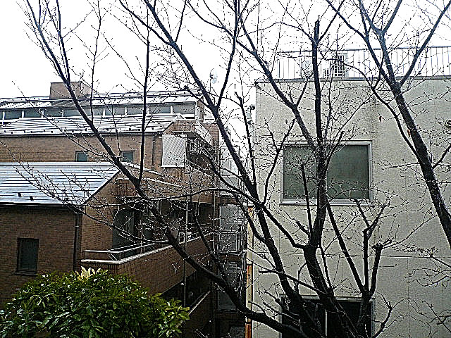 ライオンズマンション白金第2　3階からの眺望