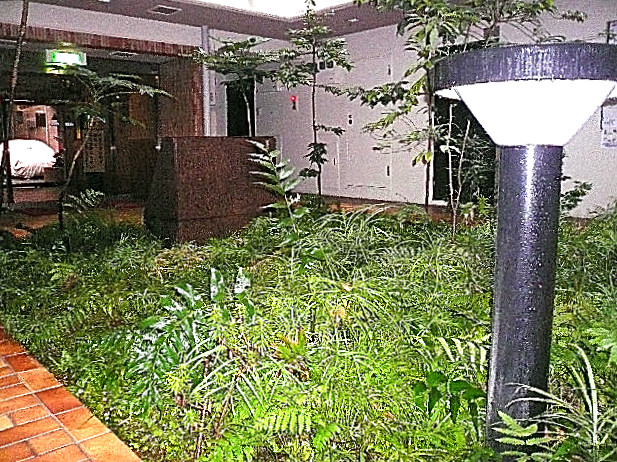 ライオンズマンション白金第2　エントランス内