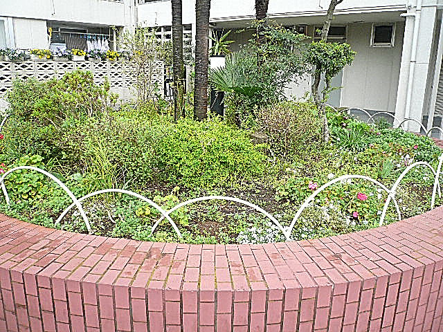 祐天寺第2コーポラス　アプローチ