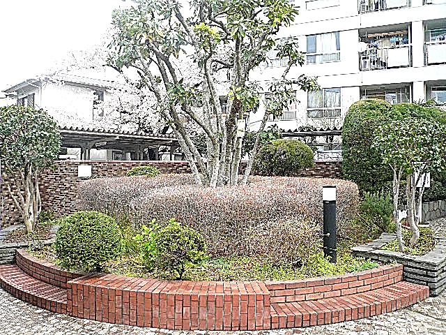 祐天寺第2コーポラス　アプローチ