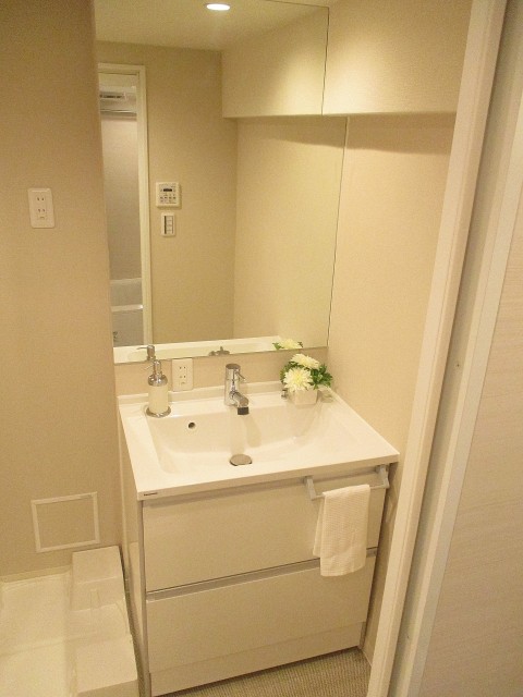 グリーンヒル新宿 洗面