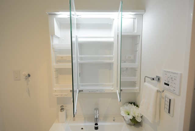 秀和若林レジデンス 廊下