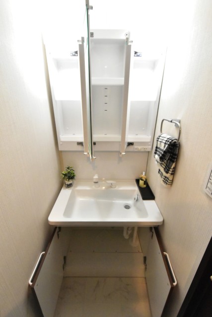 ニューライフ西早稲田 洗面室