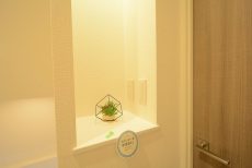 ハヤマビル カウンター ハヤマビル カウンター