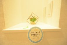 ハヤマビル カウンター ハヤマビル カウンター