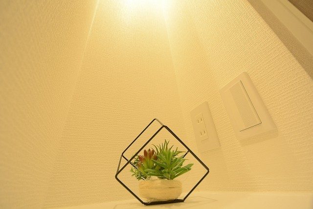 ハヤマビル カウンター ハヤマビル カウンター