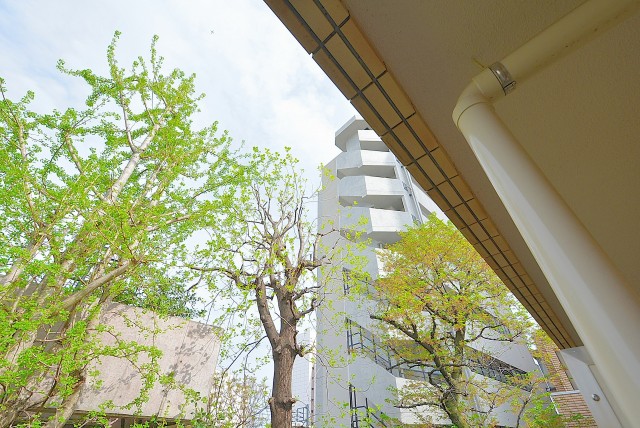 テラス目白 バルコニー