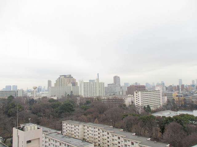 戸山ハイツ バルコニー