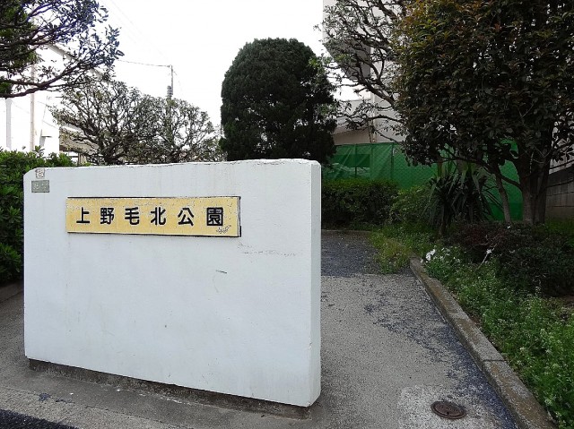 ライオンズマンション上野毛　周辺