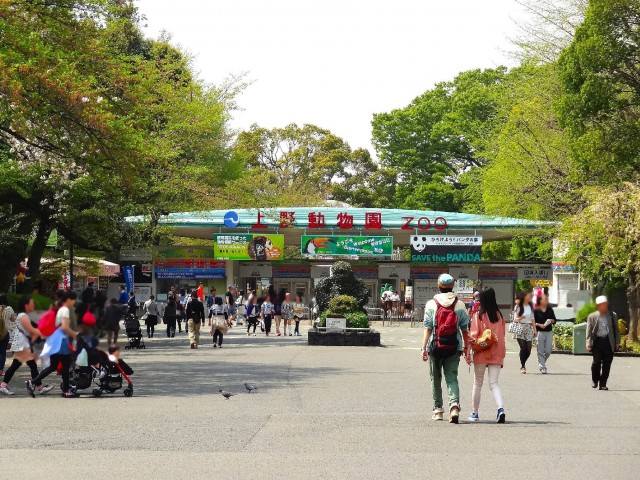 藤和ハイタウン上野　上野恩賜公園