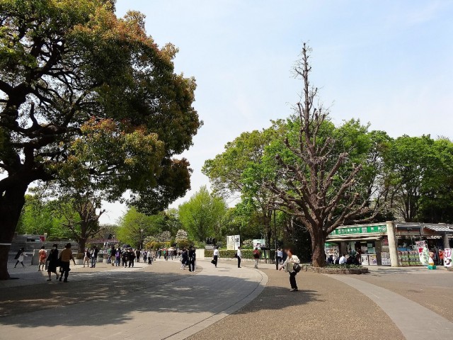 藤和ハイタウン上野　上野恩賜公園