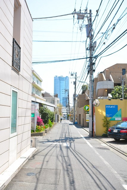 南青山グリーンヒルハウス　周辺