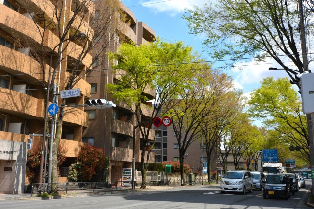 アフェクシオン南烏山　芦花公園駅入り口　交差点