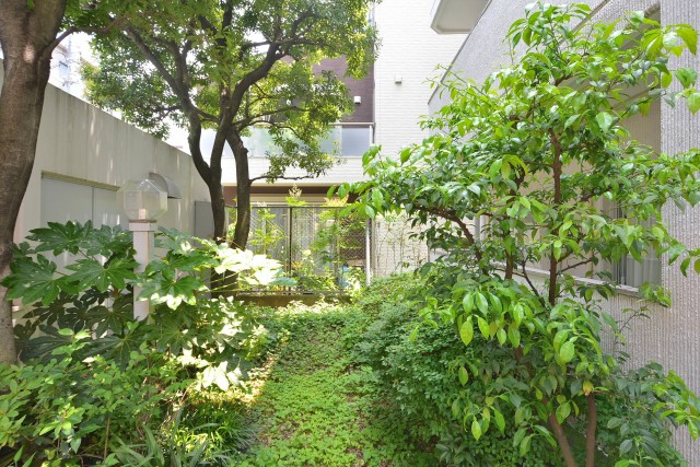 メイゾン西麻布　中庭