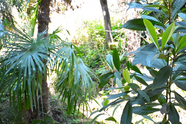 南青山グリーンヒルハウス　バルコニーの眺望