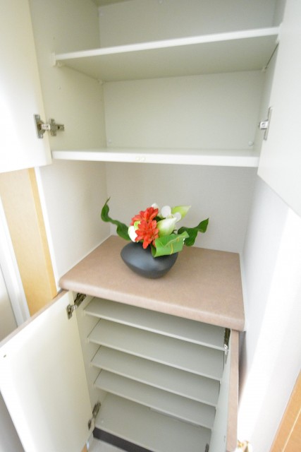 アフェクシオン南烏山　下足入れ