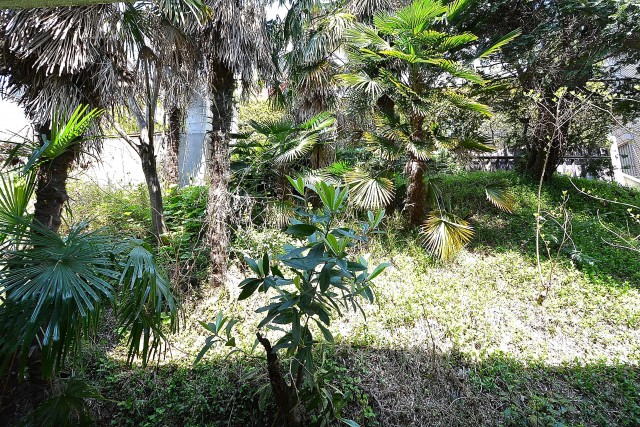 南青山グリーンヒルハウス　バルコニーの眺望