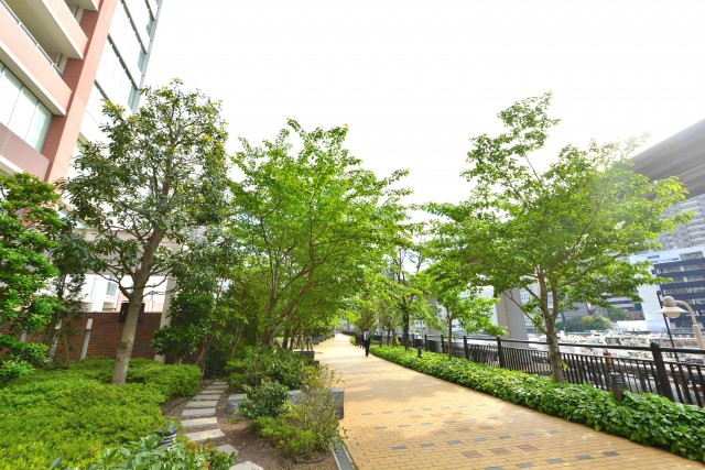 芝浦アイランドケープタワー　遊歩道2