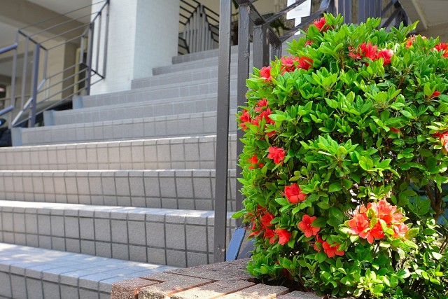 代々木スカイハイツ　エントランス