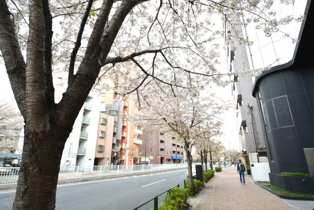 サンセール広尾　明治通り