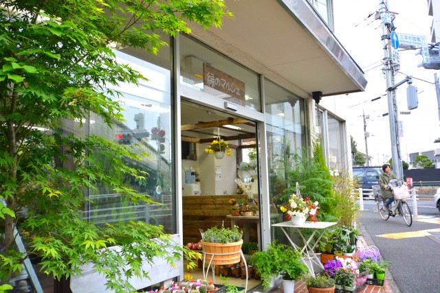 砧スカイハイツ　園芸屋
