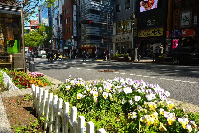 ライオンズマンション道玄坂　周辺