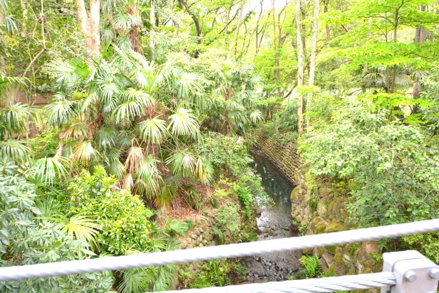 砧スカイハイツ　砧公園4