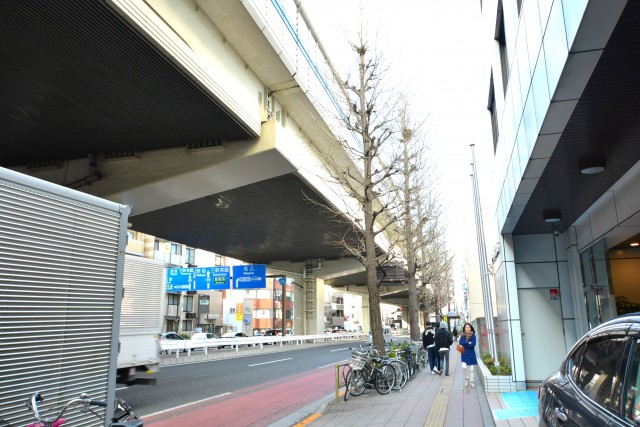 シャンボール上馬　246