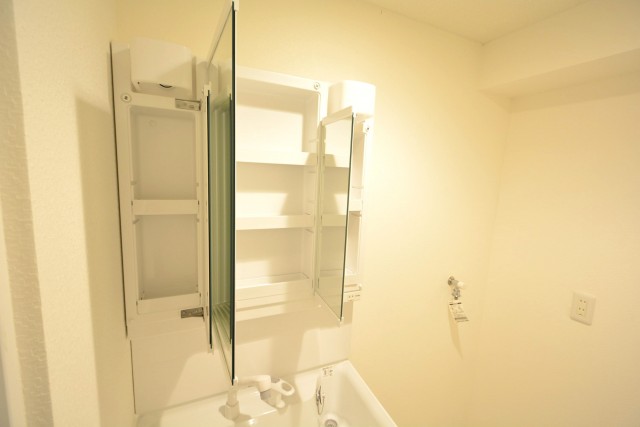 東武ハイライン第2芝虎ノ門　洗面台収納1