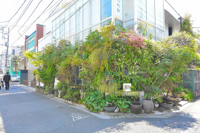 南青山グリーンヒルハウス　周辺