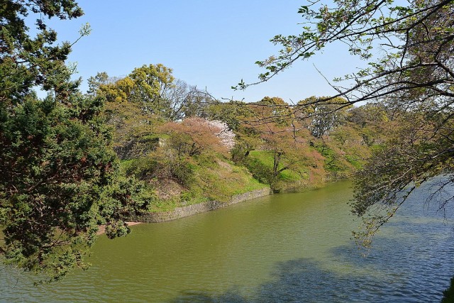 東京レジデンス　北の丸公園