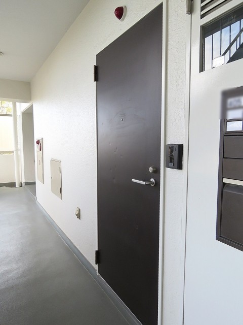 護国寺ロイアルハイツ　玄関扉