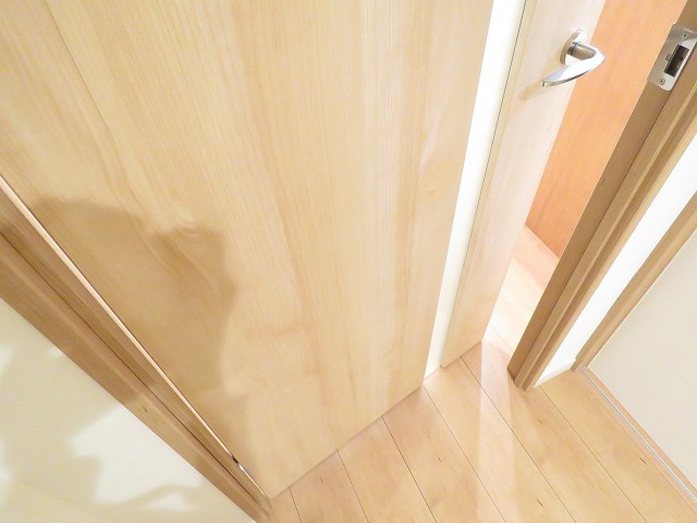 護国寺ロイアルハイツ　LDK扉