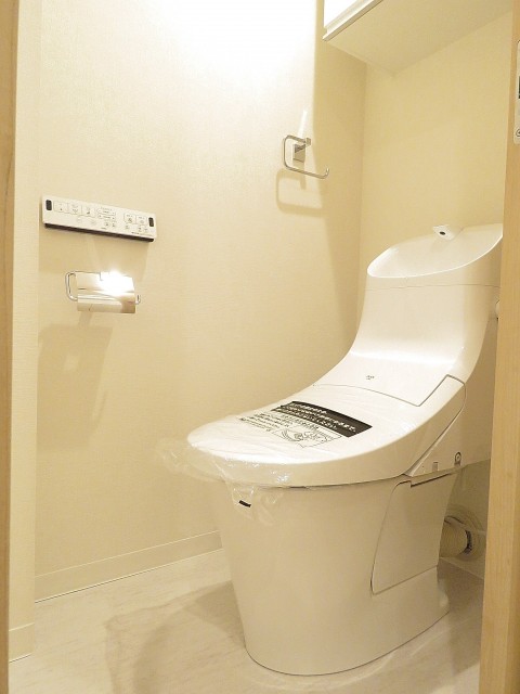 護国寺ロイアルハイツ　トイレ