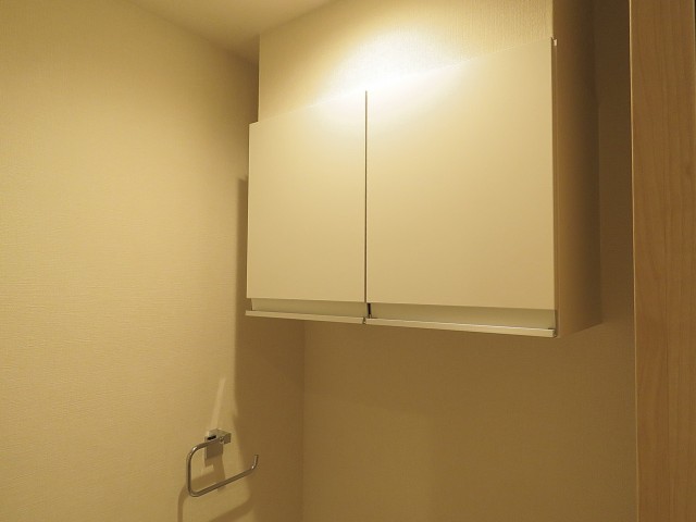 護国寺ロイアルハイツ　トイレ