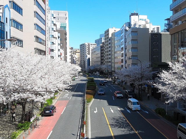 恵比寿グリーンハイム　周辺