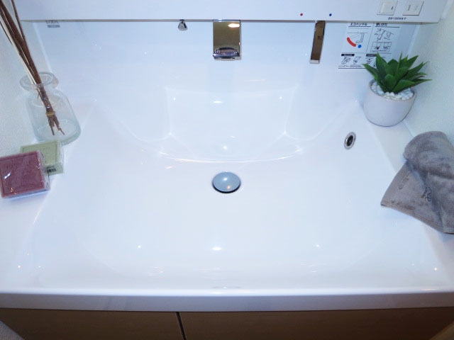 継ぎ目のない洗面ボウル