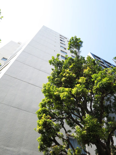 護国寺ロイアルハイツ　外観