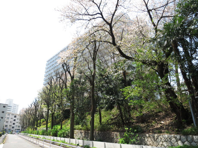 戸山ハイツ　周辺環境