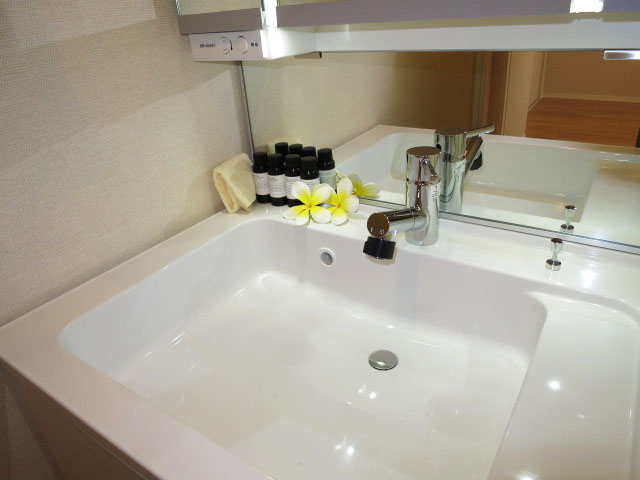 トーア早稲田マンション　使い勝手良さそうな洗面化粧台