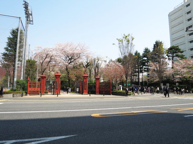 トーア早稲田マンション　周辺環境