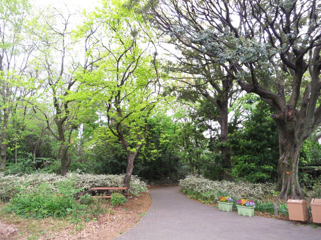 テラス目白　周辺環境